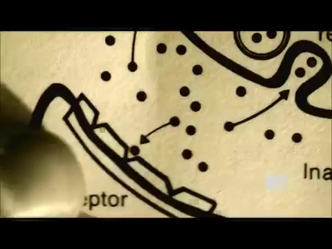 Demi Lovato - Stay Strong Premiere Documentary Full 42100 Demi Lovato - Stay Strong Premiere Documentary Full 42100
