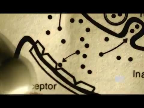 Demi Lovato - Stay Strong Premiere Documentary Full 42101 Demi Lovato - Stay Strong Premiere Documentary Full 42101