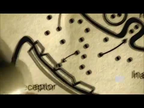 Demi Lovato - Stay Strong Premiere Documentary Full 42102 Demi Lovato - Stay Strong Premiere Documentary Full 42102