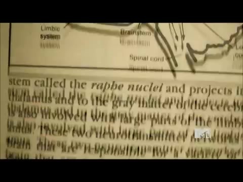 Demi Lovato - Stay Strong Premiere Documentary Full 42141 Demi Lovato - Stay Strong Premiere Documentary Full 42141