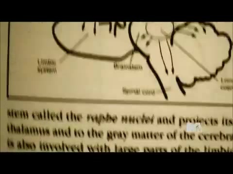 Demi Lovato - Stay Strong Premiere Documentary Full 42142 Demi Lovato - Stay Strong Premiere Documentary Full 42142