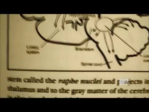 Demi Lovato - Stay Strong Premiere Documentary Full 42144 Demi Lovato - Stay Strong Premiere Documentary Full 42144