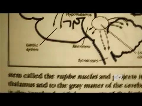 Demi Lovato - Stay Strong Premiere Documentary Full 42145 Demi Lovato - Stay Strong Premiere Documentary Full 42145