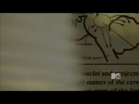 Demi Lovato - Stay Strong Premiere Documentary Full 42148 Demi Lovato - Stay Strong Premiere Documentary Full 42148