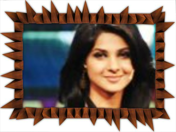 pizap.com13364110717661 - Colaje-india