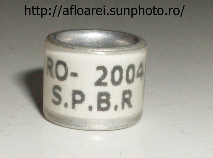 ro 2004 spbr - SPBR