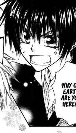 aoi 20