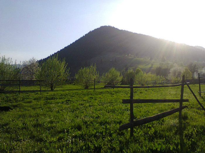 292508_379486572089841_100000855054626_1014248_1654048329_n