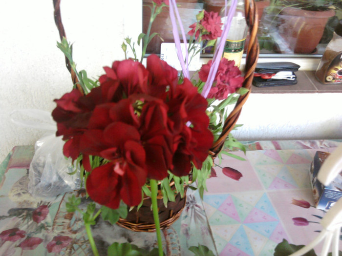 Fotografii-0119