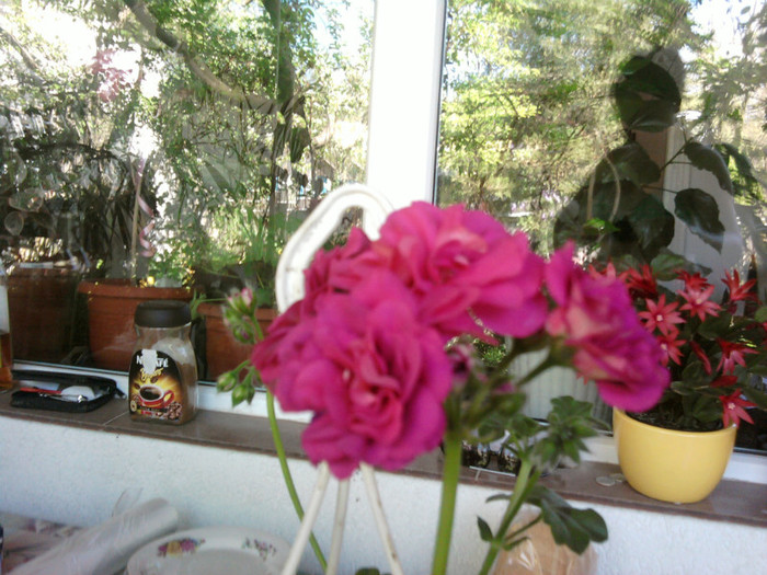 Fotografii-0123