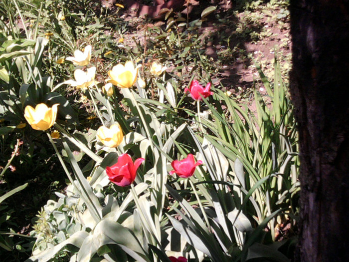 Fotografii-0125