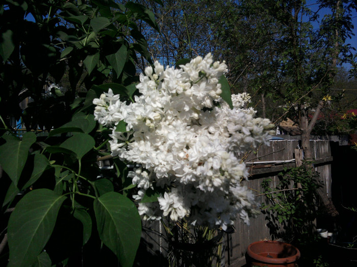 Fotografii-0129