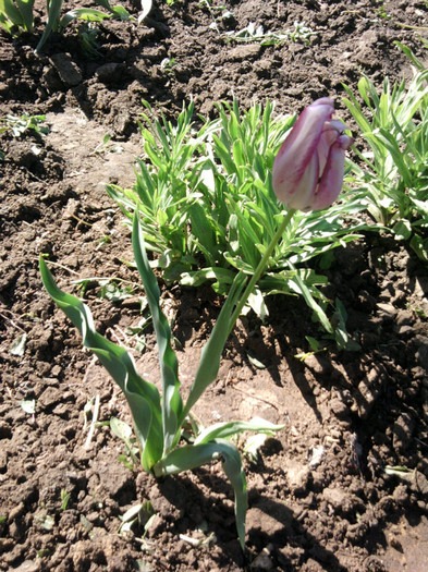 Fotografii-0134