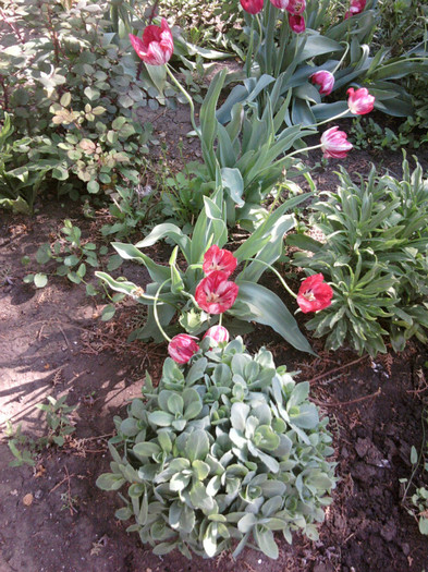 Fotografii-0135