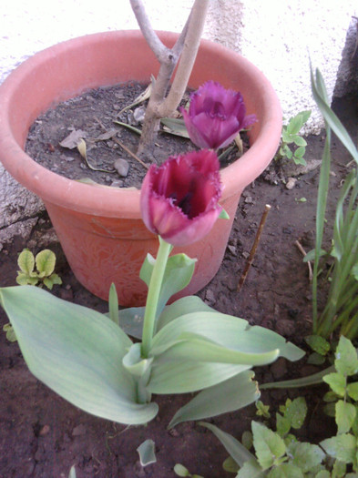Fotografii-0143