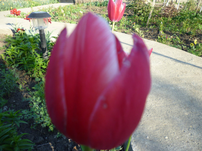 P1000531