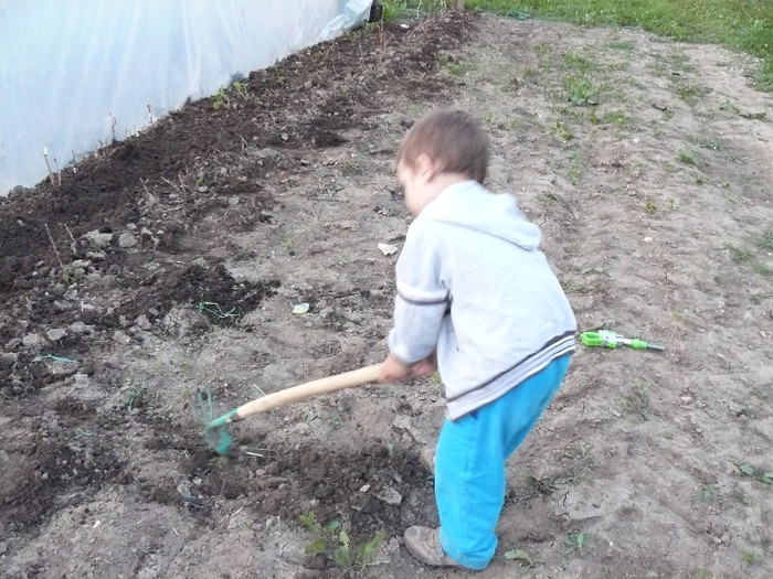 Si acum la treaba, baiete