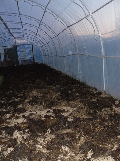 Pregatiri ptr. plantat