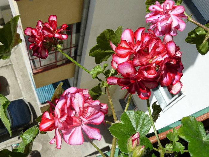 P1020751