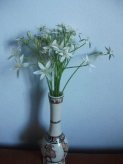 8.05.2012 - flori in vaza