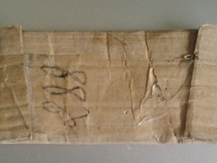 8 mai 2012-flori 040 - seminte primite prin posta romana