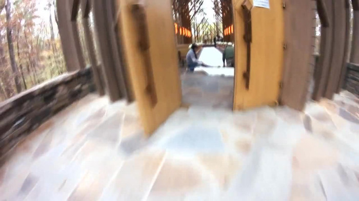 Demi Lovato - Tiffany Thornton and Chris Wedding 0425