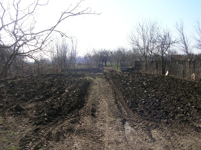 SANY0047 - Nucet- Dambovita