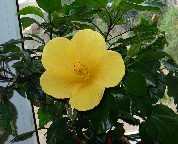 P1390016