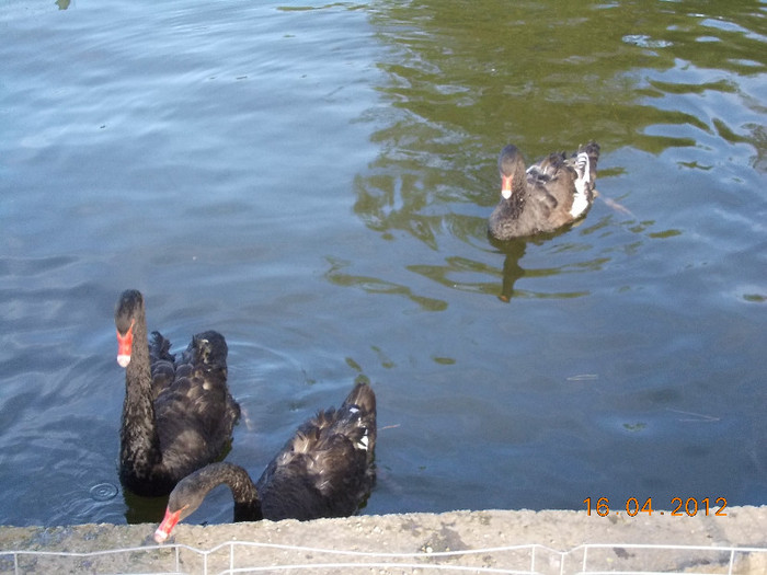 DSCN0636