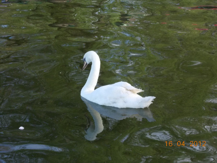 DSCN0643