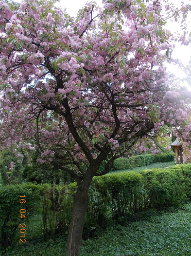 DSCN0667