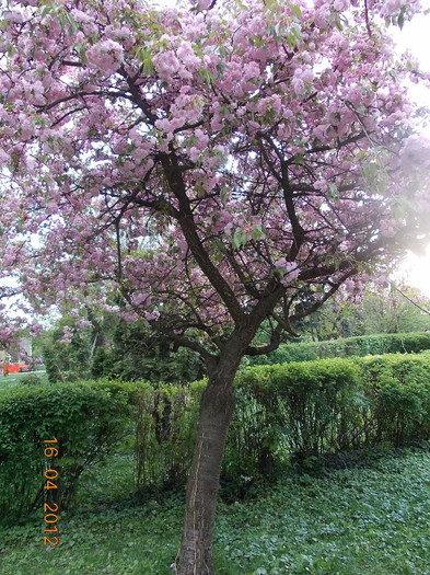 DSCN0668