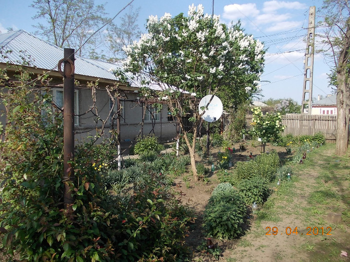 DSCN0708