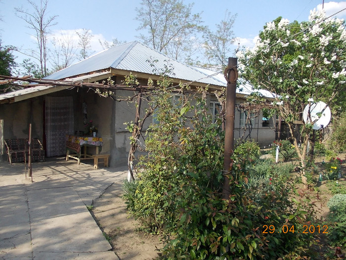 DSCN0709