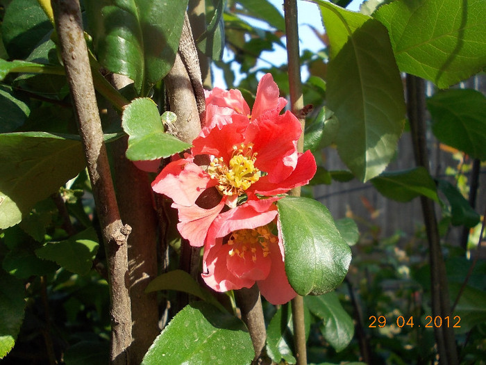 DSCN0711