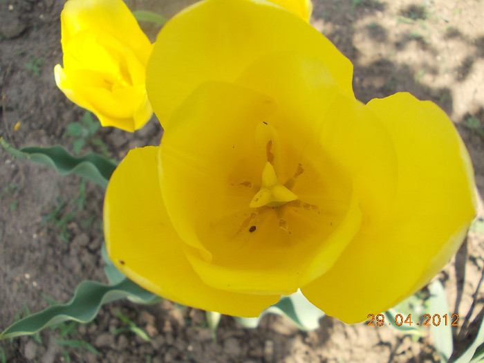 DSCN0716 - 1 an