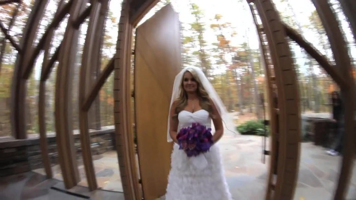 Demi Lovato - Tiffany Thornton and Chris Wedding 2334