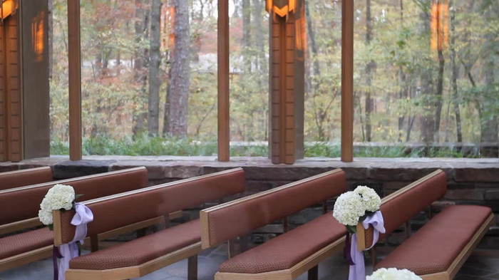 Demi Lovato - Tiffany Thornton and Chris Wedding 2461