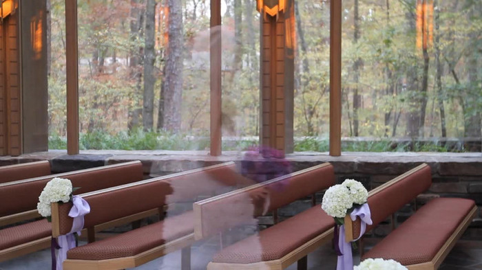 Demi Lovato - Tiffany Thornton and Chris Wedding 2465