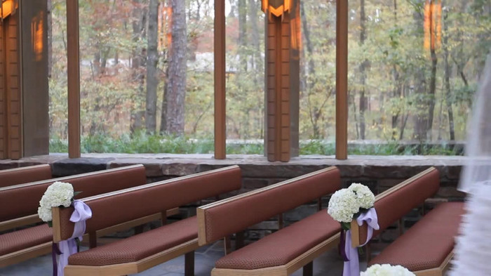 Demi Lovato - Tiffany Thornton and Chris Wedding 2528