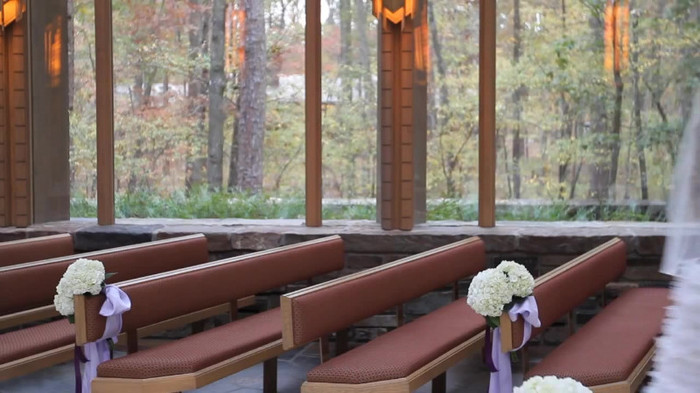 Demi Lovato - Tiffany Thornton and Chris Wedding 2529