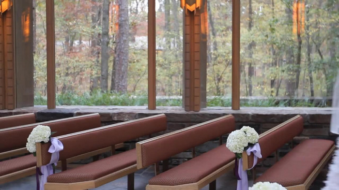 Demi Lovato - Tiffany Thornton and Chris Wedding 2531
