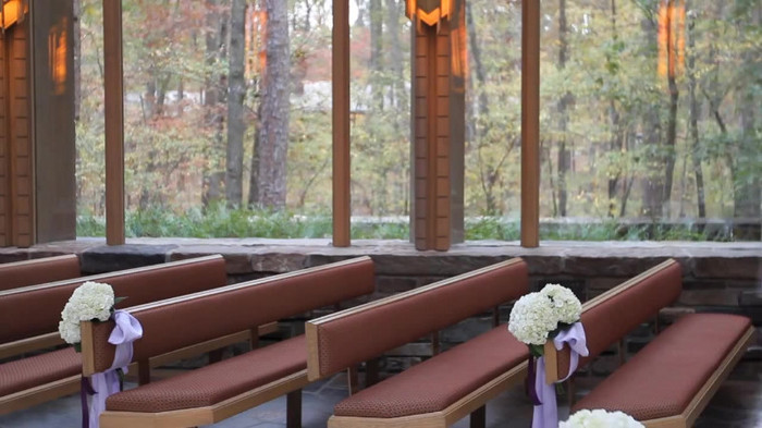 Demi Lovato - Tiffany Thornton and Chris Wedding 2533