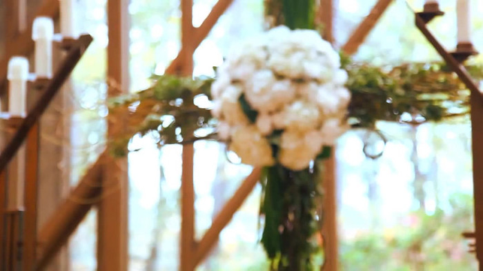 Demi Lovato - Tiffany Thornton and Chris Wedding 2942