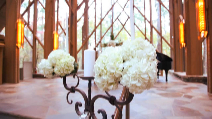 Demi Lovato - Tiffany Thornton and Chris Wedding 2961
