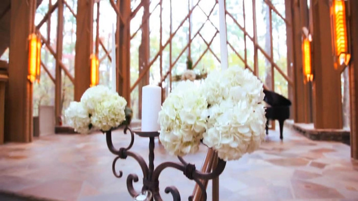 Demi Lovato - Tiffany Thornton and Chris Wedding 2962