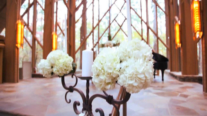 Demi Lovato - Tiffany Thornton and Chris Wedding 2963