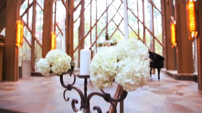Demi Lovato - Tiffany Thornton and Chris Wedding 2964