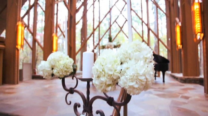 Demi Lovato - Tiffany Thornton and Chris Wedding 2965