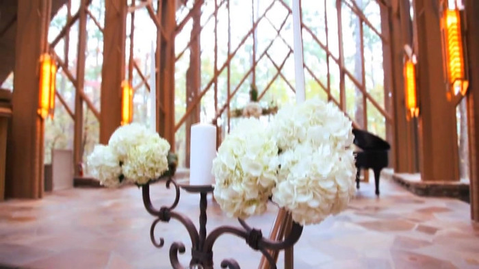 Demi Lovato - Tiffany Thornton and Chris Wedding 2967